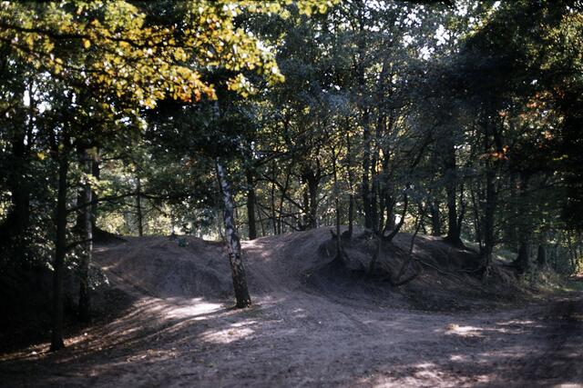 Der frühmittelalterliche Ringwall in Celle-Altencelle