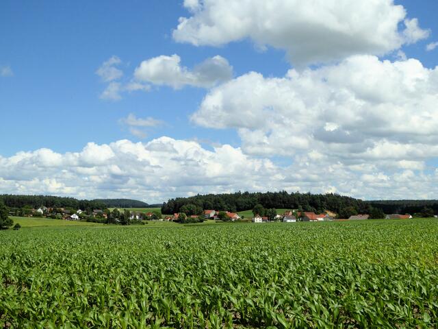 Blick auf Stockensau | Foto: Dr. Hubert Raab