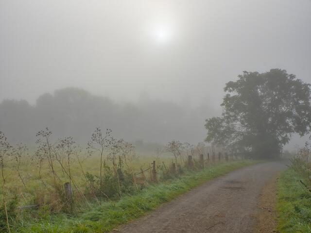 Herbstnebel