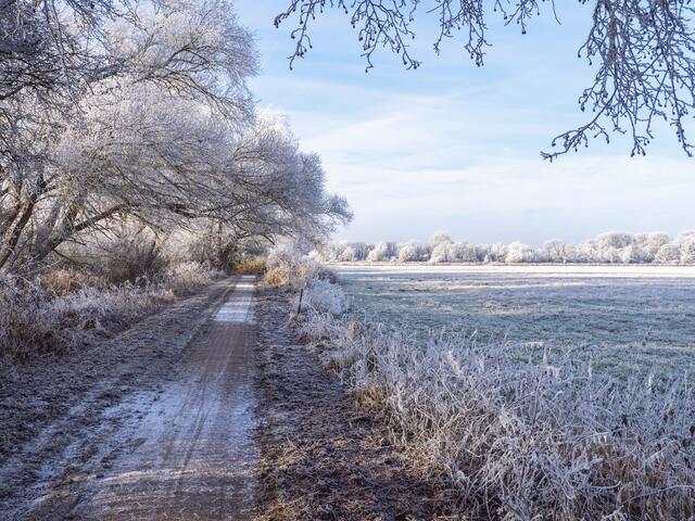 und Frost
