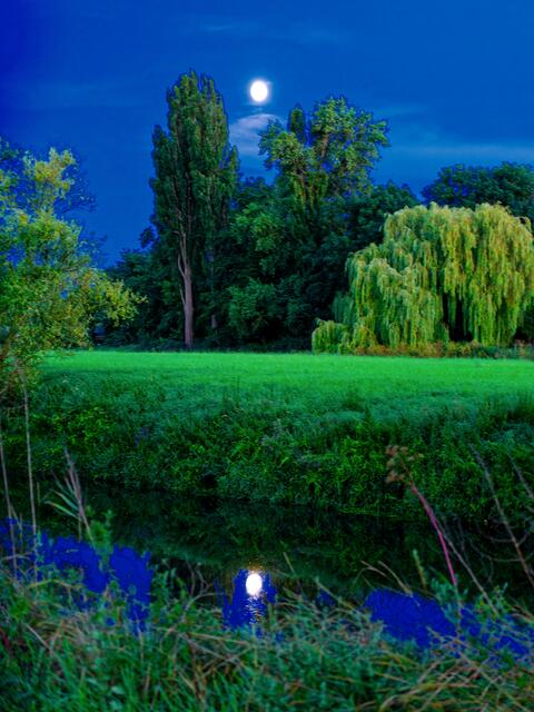 Blaue Stunde