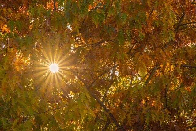 Herbstlich