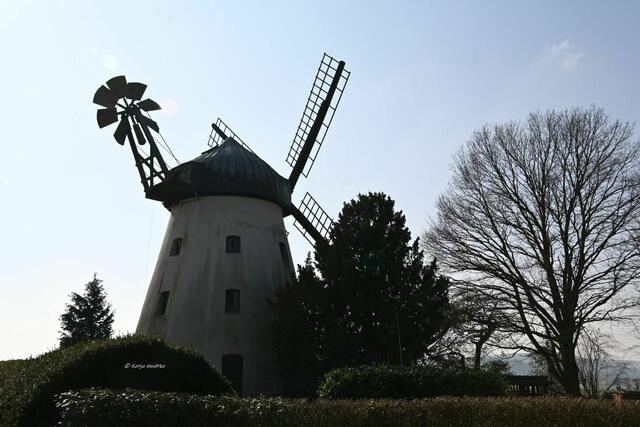 Mühlenmontag (Foto: Katja Woidtke)

Windmühle in Tündern an der Weser | Foto: Katja Woidtke