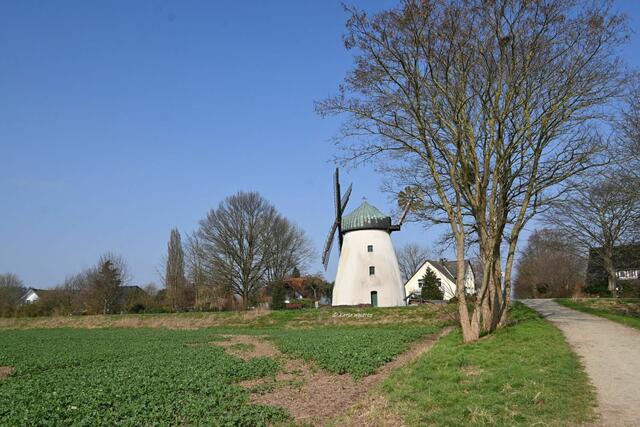 Mühlenmontag (Foto: Katja Woidtke)

Windmühle in Tündern an der Weser | Foto: Katja Woidtke