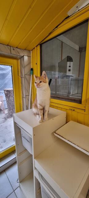 Peanut | Foto: Sabine Pollok
