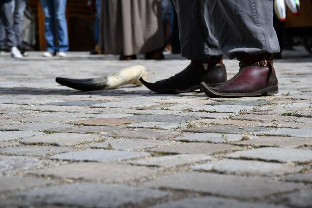 Foto: Andreas Albert - Stadt Dillingen