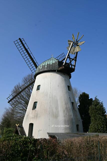 Mühlenmontag (Foto: Katja Woidtke)

Windmühle in Tündern an der Weser - bei der Holländermühle drehte sich nur die Kappe in den Wind | Foto: Katja Woidtke