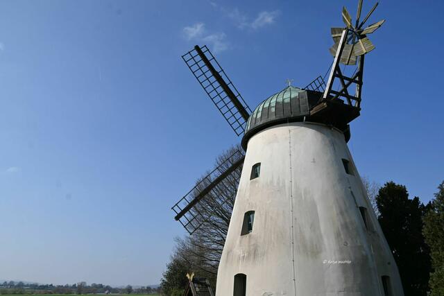 Mühlenmontag (Foto: Katja Woidtke)

Windmühle in Tündern an der Weser | Foto: Katja Woidtke