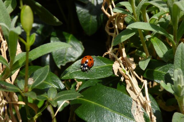 Und noch zwei...................