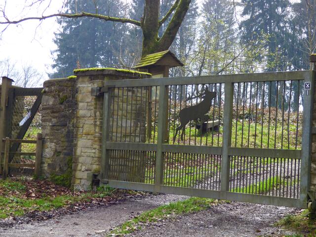 Bissken Eigenwerbung: https://www.myheimat.de/springe/c-natur/im-kleinen-deister_a2813271