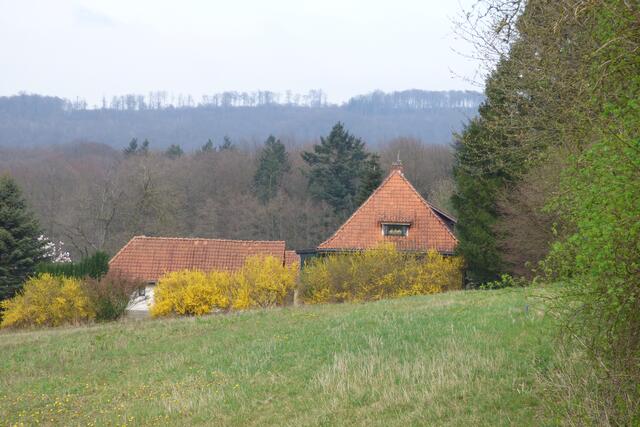 Zurück am Forsthaus Morgenruhe