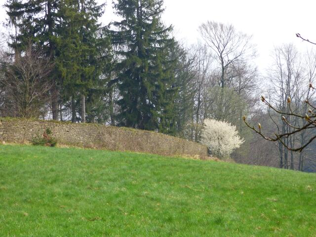 Die alte Sauparkmauer: https://de.wikipedia.org/wiki/Saupark_Springe