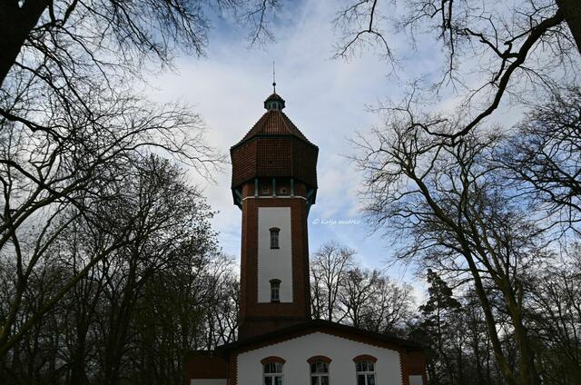 Das Leuchten der Buschwindröschen im Eichenpark Langenhagen (Foto: Katja Woidtke)

Historischer Wasserturm | Foto: Katja Woidtke