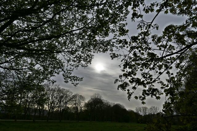 ...auch dieses Gesamtbild | Foto: dieter@senger