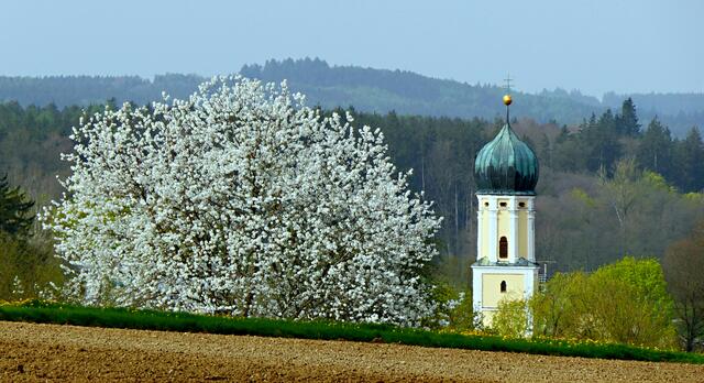 Der Turm der Kirche in Margertshausen