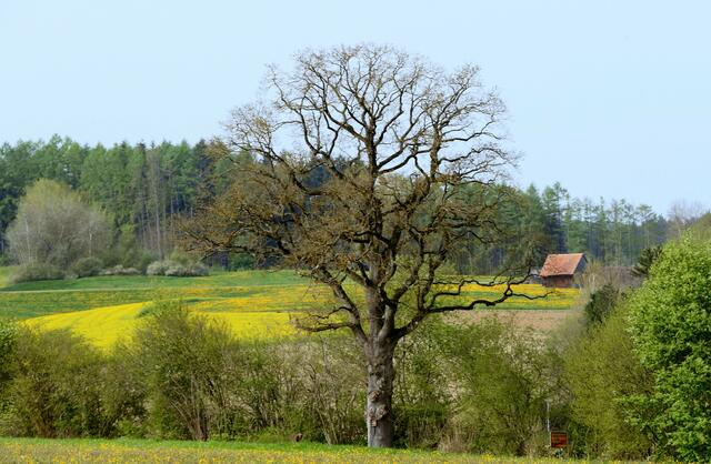 Ländliche Idylle Richtung Margertshausen