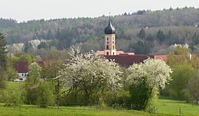 Die Abtei eingebettet in die hügeligen Wälder