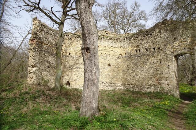 Ruine Domburg