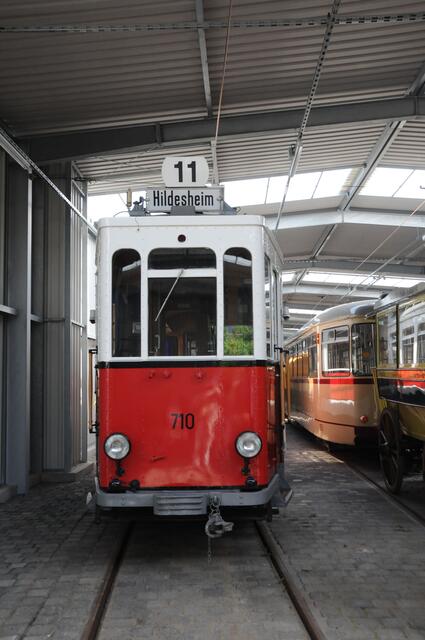 Auch die "Rote Elf" ist hier beheimatet.