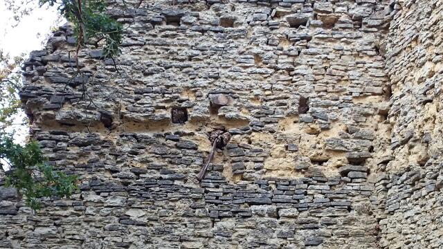 in diesem Mauerfeld der Domburg Ruine sind deutlich die Balkenköpfe der früheren Etage erkennbar