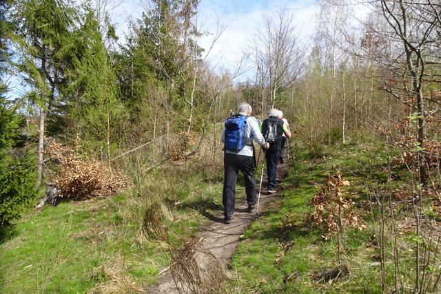 auf dem Stieg zwischen Bösen Kleef und Todtenrode