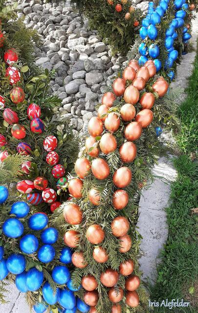 Foto: Iris Alefelder
