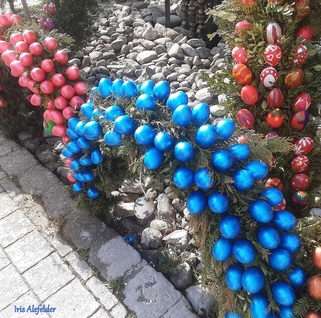 Foto: Iris Alefelder