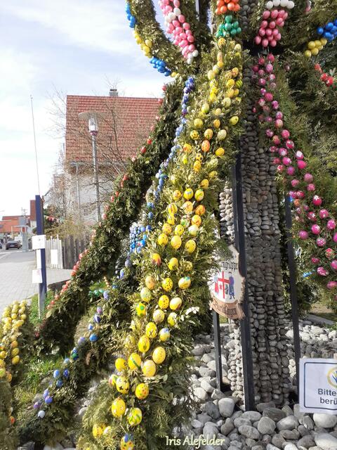 Foto: Iris Alefelder