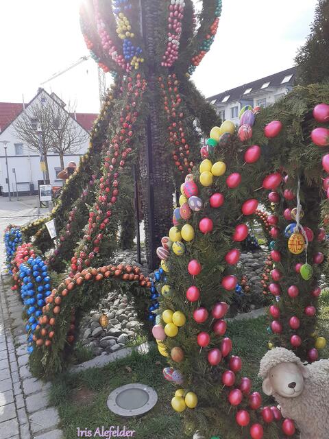 Foto: Iris Alefelder