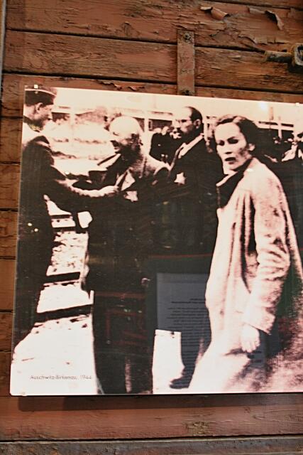 Die folgenden Bilder kennt wohl jeder, aber nicht die Texte über die Deportationen.