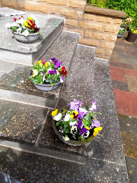  . . . Blumenschalen auf der Treppe . . .