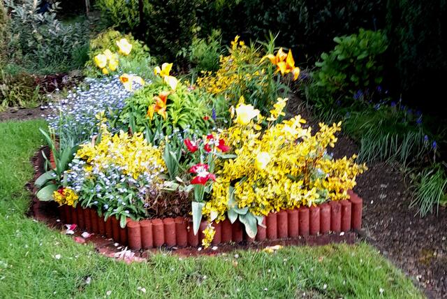  . . . ein Blumenbeet in unserem Garten . . .