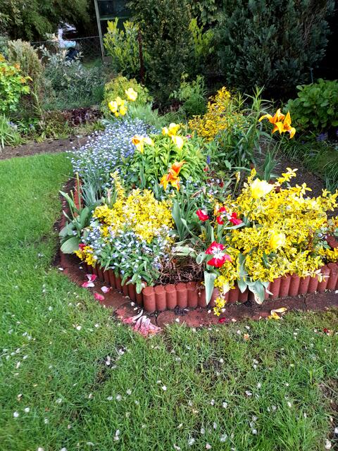 . . . ein Blumenbeet in unserem Garten . . .