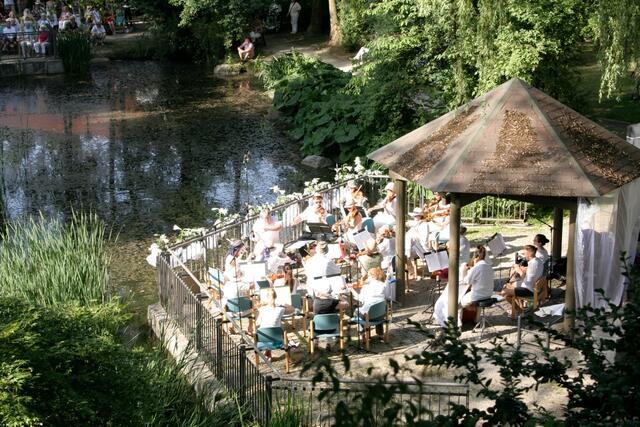 Serenade am Teich | Foto: Michael Gebler