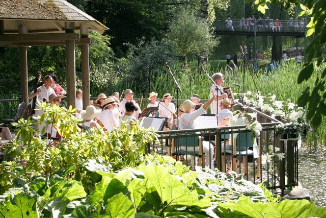 Serenade am Teich | Foto: Michael Gebler