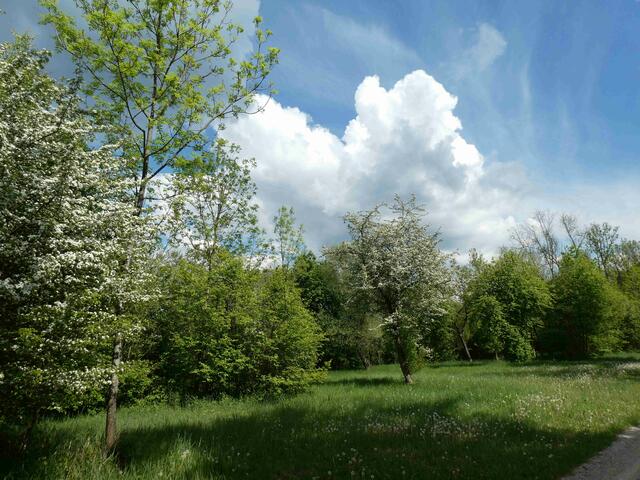 Landschaft am Wanderweg | Foto: Dr. Hubert Raab