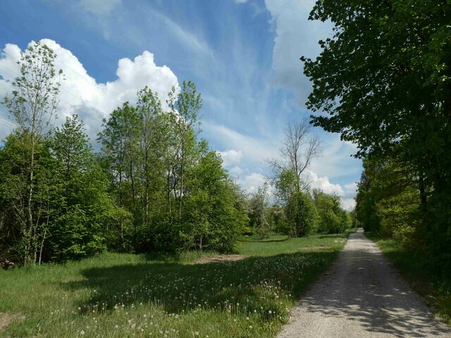 Der Wanderweg führt durch eine herrliche Parklandschaft | Foto: Dr. Hubert Raab