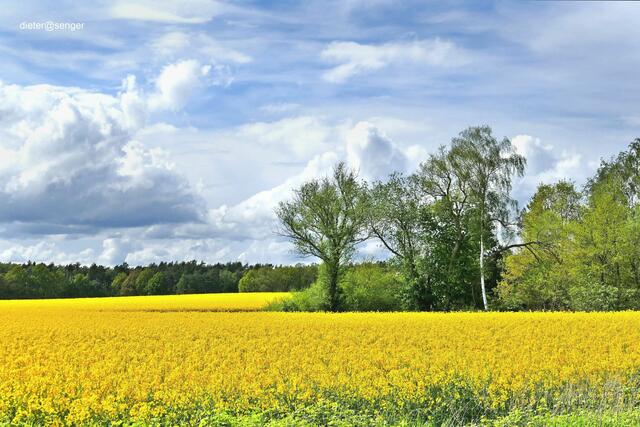 Fast endlos weit | Foto: Dieter Senger  dieter@senger