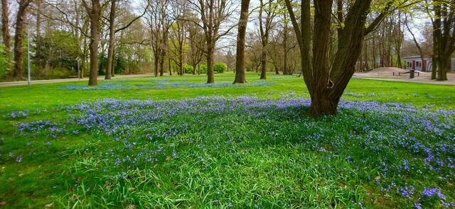 Ein schöner Anblick | Foto: Shima Mahi
