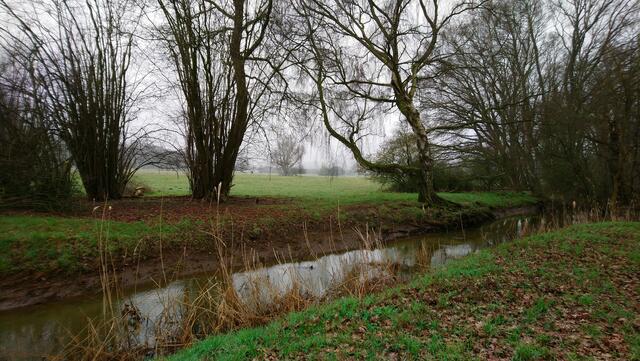 Ein trüber Märztag | Foto: Shima Mahi
