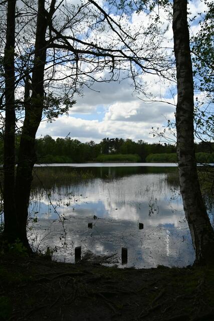 Gut gefüllt - rund um den Würmsee im April (Foto: Katja Woidtke)

Steg und Boot liegen komplett unter Wasser | Foto: Katja Woidtke