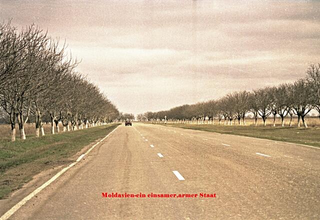 So Autofrei sind die Straßen, doch dabei dreispurig