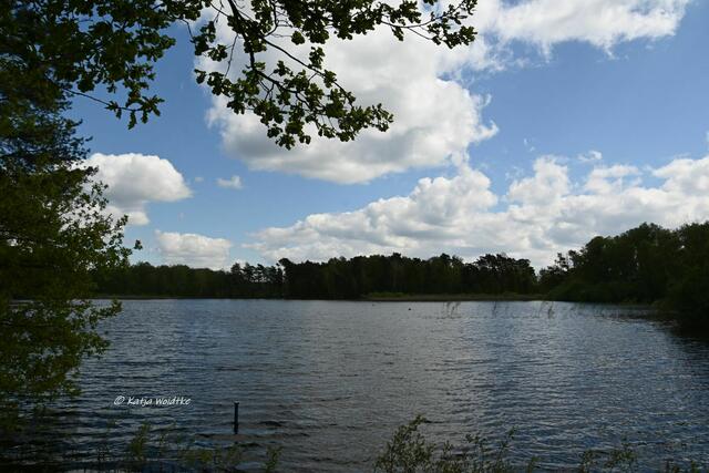 Gut gefüllt - rund um den Würmsee im April (Foto: Katja Woidtke)

Hoher Wasserstand im Würmsee nach den Regenfällen in den letzten Wochen | Foto: Katja Woidtke
