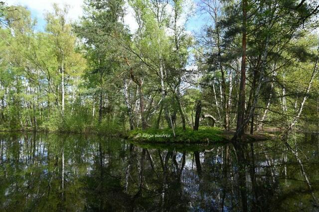 Gut gefüllt - rund um den Würmsee im April (Foto: Katja Woidtke)

Hoher Wasserstand im Würmsee nach den Regenfällen in den letzten Wochen | Foto: Katja Woidtke