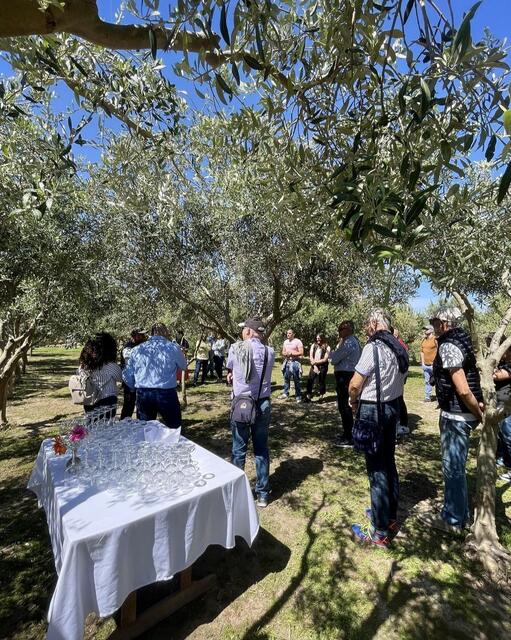 Um die Bedeutung der Olive und der Olivenöl-Gewinnung auf Malta zu verdeutlichen, sind Gäste und Gruppen eingeladen, bei einer Führung auf dem Ta'Xmun-Gut die Hintergründe kennenzulernen. | Foto: Daniel Basler
