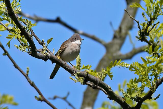 Foto: Copyright Andreas Schäfer