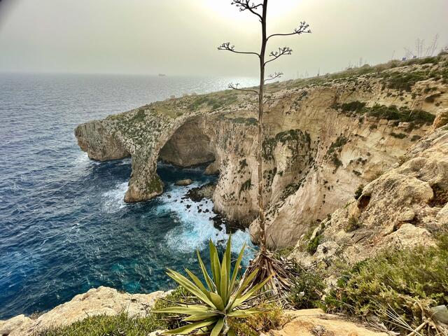 Die Küste von Malta prägen hohe Klippen und sandige Buchten. Die Blaue Grotte ist dabei einer der vielen natürlichen Felsbögen, die sich durch Erosion an den Steilwänden bildeten. Bei gutem Wetter gibt es dorthin Bootsfahrten.   | Foto: Daniel Basler