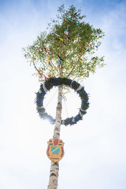 Foto: Jan Koenen - Stadt Dillingen