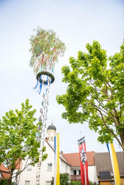 Foto: Jan Koenen - Stadt Dillingen