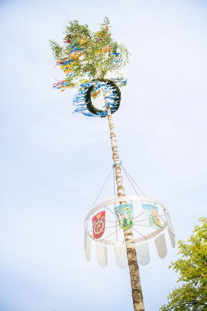 Foto: Jan Koenen - Stadt Dillingen